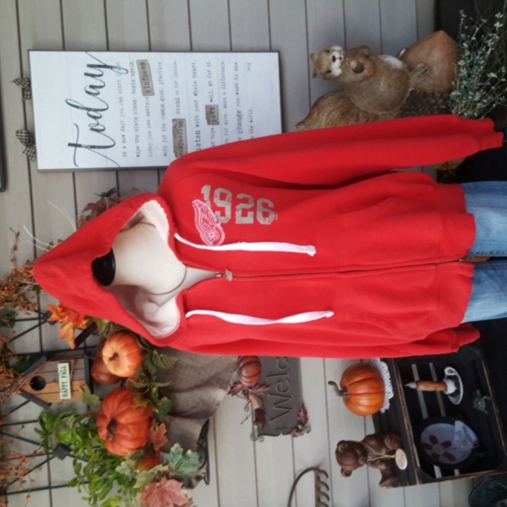 NHL ♡ Embroidered Hockey Club Detroit Red Wings OH SO SOFT Zip Hoodie Jacket L